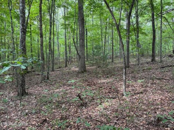 - Wildcat Rd, Jamestown, TN 38556