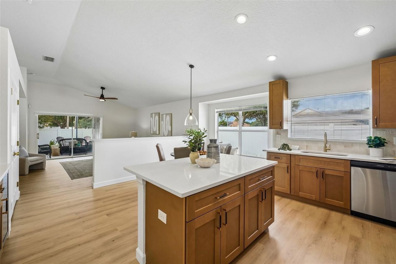 24514 Volterra Court, Lutz, FL 33559 Photo