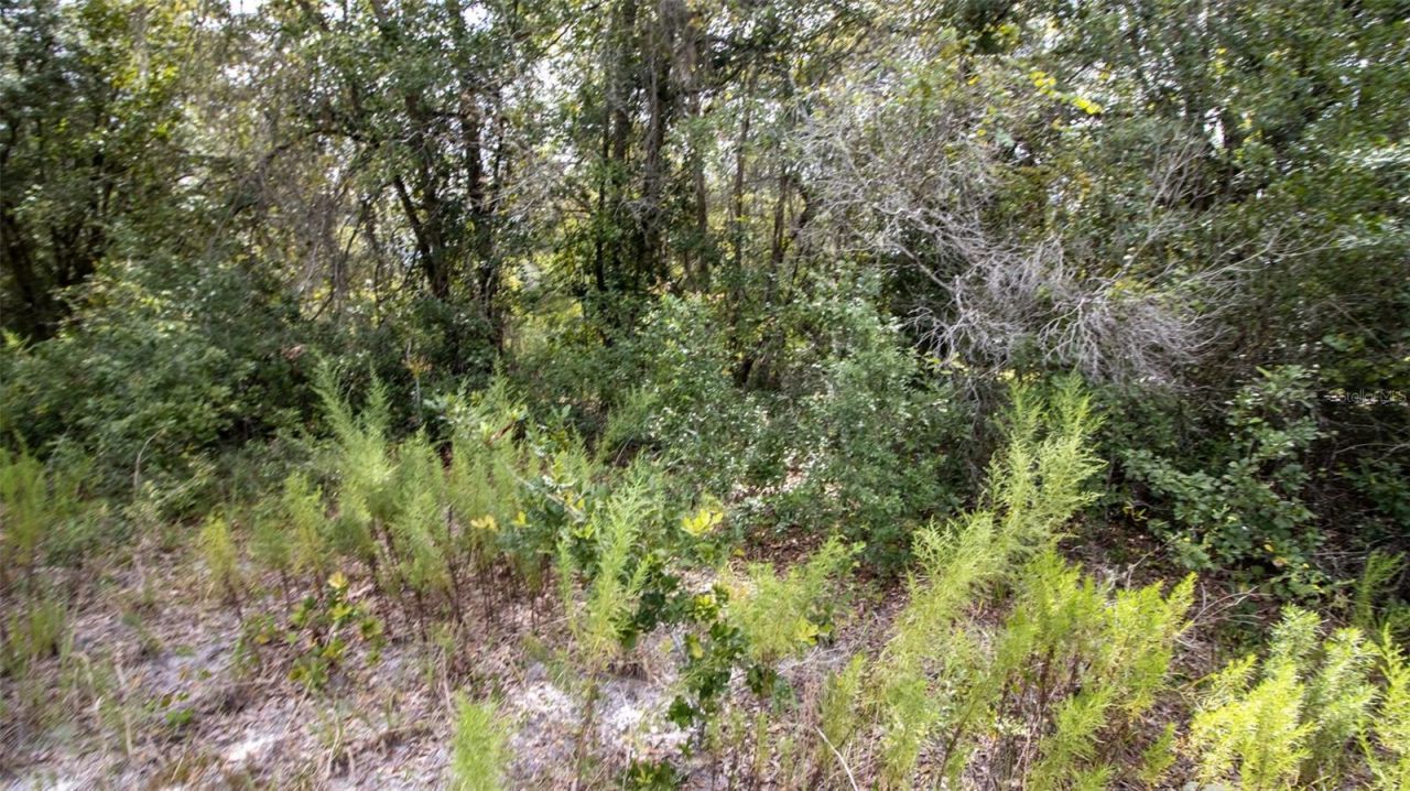 00 SW 80th Place, Hampton, FL 32044 Photo