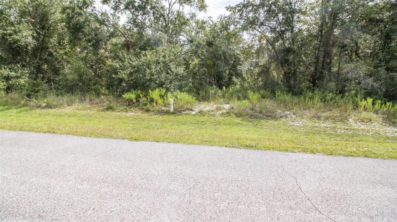 00 SW 80th Place, Hampton, FL 32044 Photo
