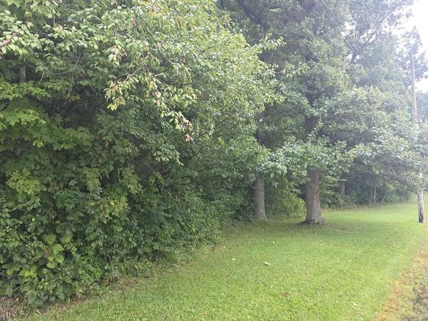 5205 County Road 9, Edison, OH 43320