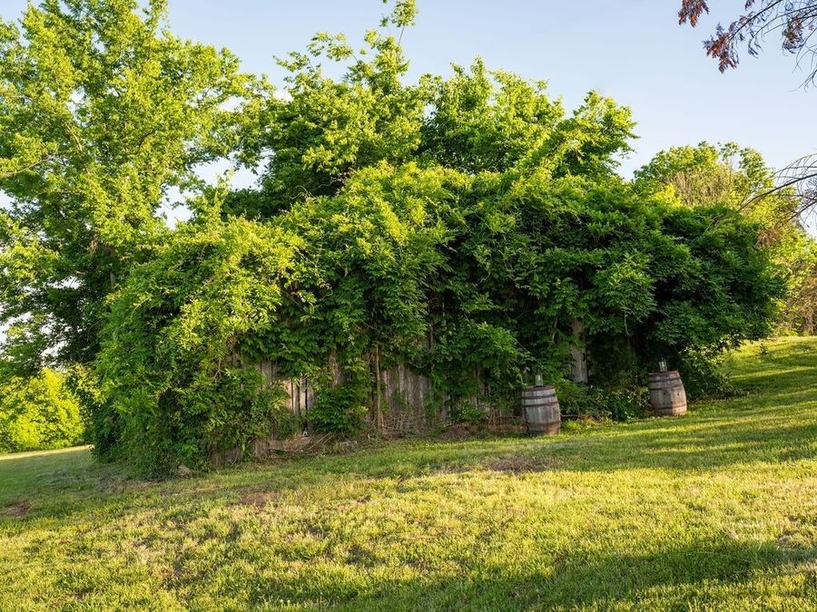 Property Image 52