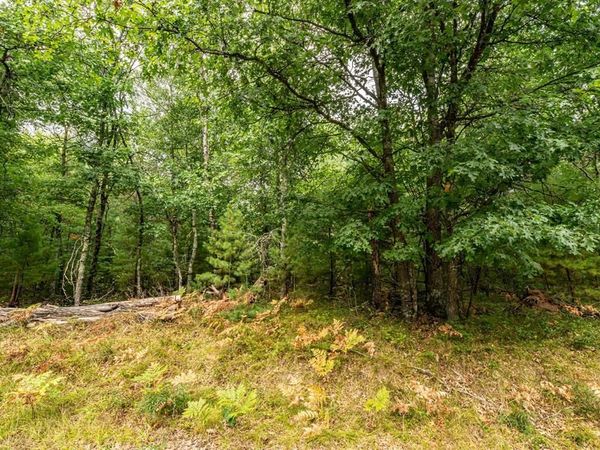001 Birch Lake Road, Barnes, WI 54873