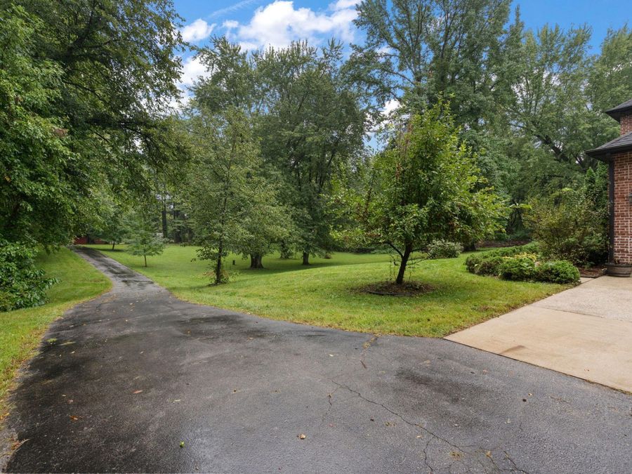 Property Image 81