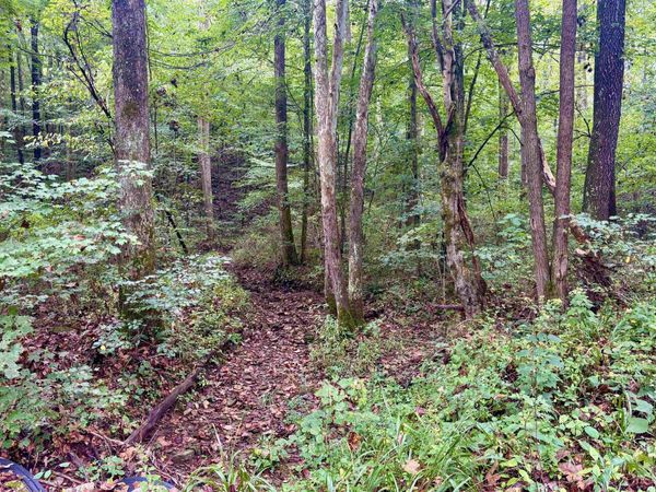 2620 S Co Rd 1000 W Road, French Lick, IN 47432