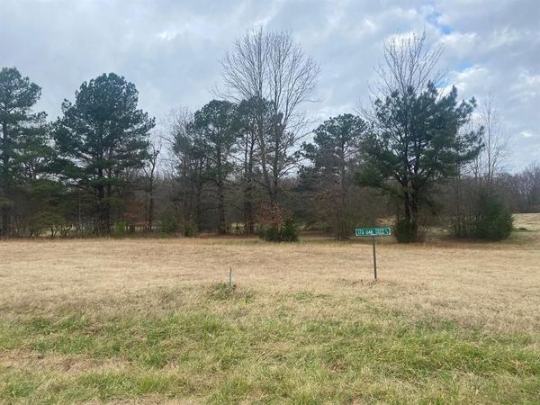 170 OAK TREE DR, Piperton, TN 38017