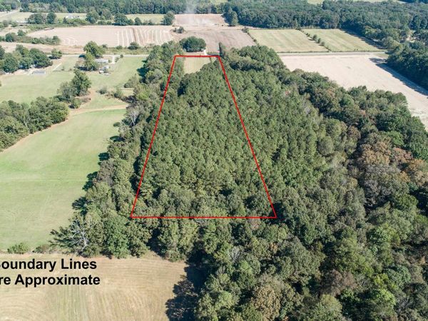 0 Clement Rd, Leighton, AL 35646