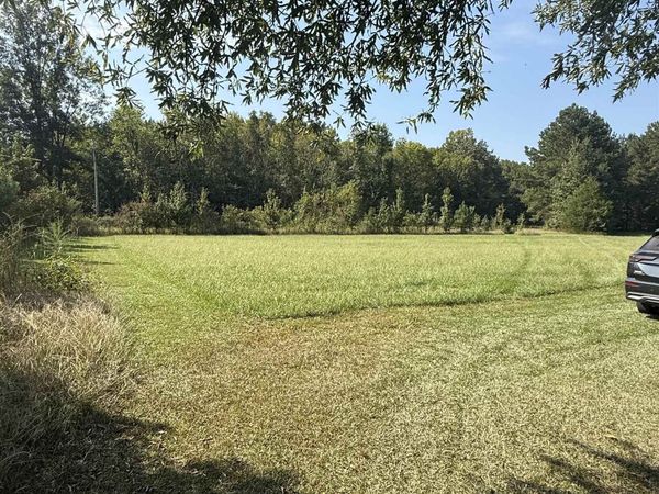 0 Clement Rd, Leighton, AL 35646