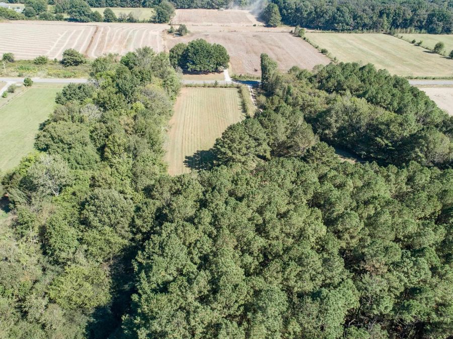 Property Image 53