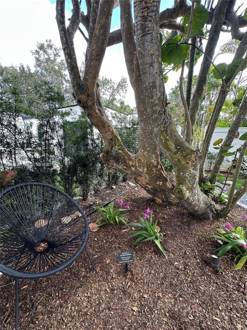 62 NW 105th St, Miami Shores, FL 33150 Photo