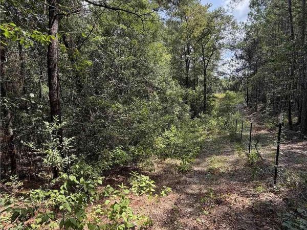 7.7 acres Werlin St, East Brewton, AL 36426