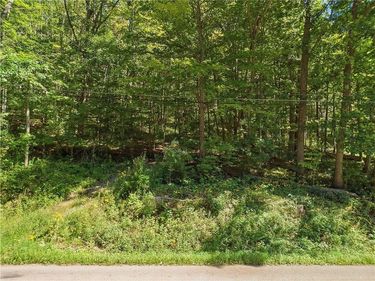 River Road, Lindley, NY 14858