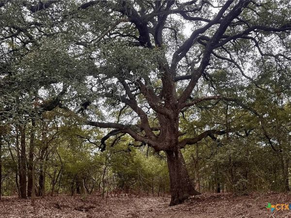 12 Acres Mt. Pleasant Rd , Cedar Creek, TX 78612
