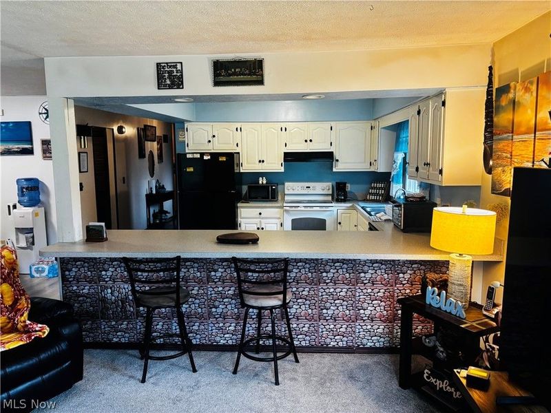 3699 S Denmark Road, Dorset, OH 44032 Photo 10