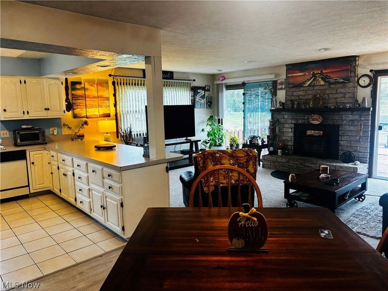 3699 S Denmark Road, Dorset, OH 44032 Photo 11
