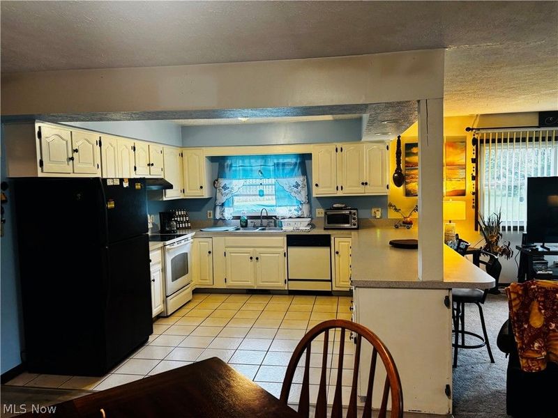 3699 S Denmark Road, Dorset, OH 44032 Photo 12