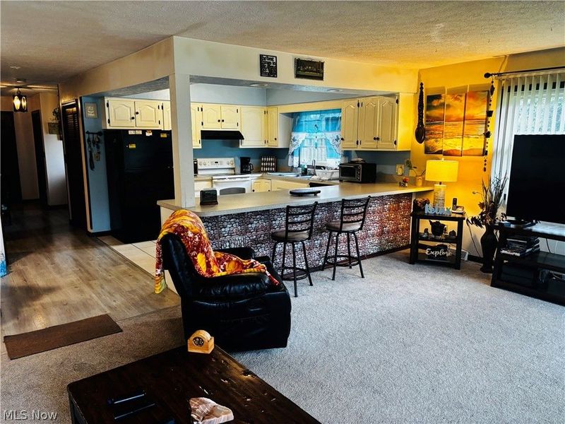 3699 S Denmark Road, Dorset, OH 44032 Photo 13