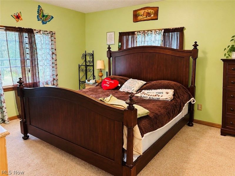 3699 S Denmark Road, Dorset, OH 44032 Photo 24