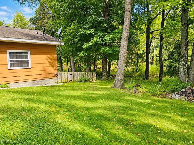 3699 S Denmark Road, Dorset, OH 44032 Photo 4