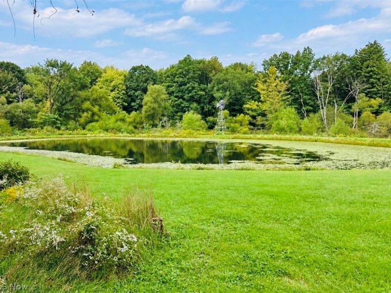 3699 S Denmark Road, Dorset, OH 44032 Photo 5