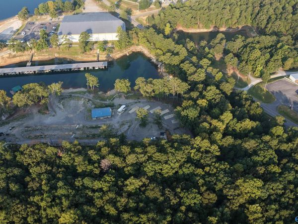 315 Bridgeview Road, Arley, AL 35541