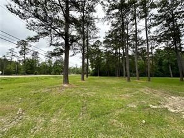 TBD LA 445 Highway , Robert, LA 70455