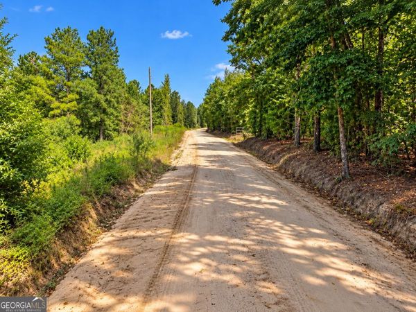 7.86 ACRES Gun Club Rd, Box Springs, GA 31801
