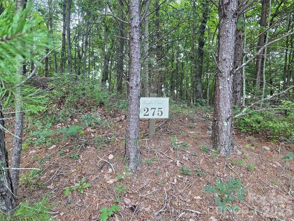275 Kincaid Place , Mill Spring, NC 28756