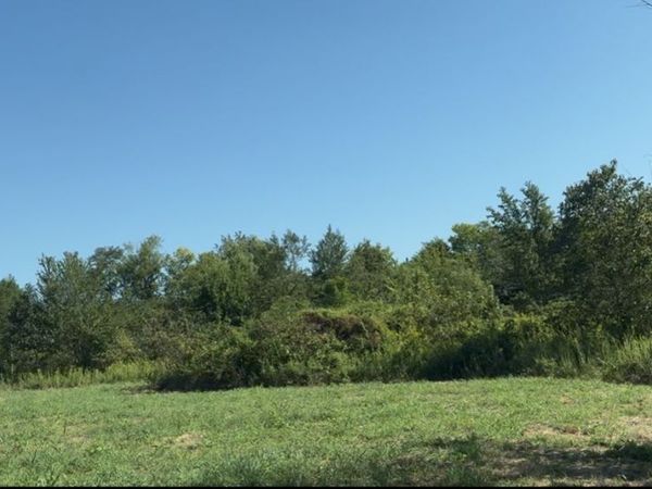3941 Baggett Rd , Springfield, TN 37172