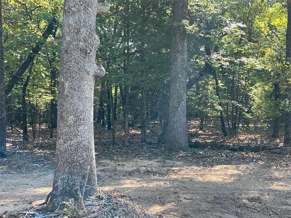 Copper Creek Circle , Kingston, OK 73439