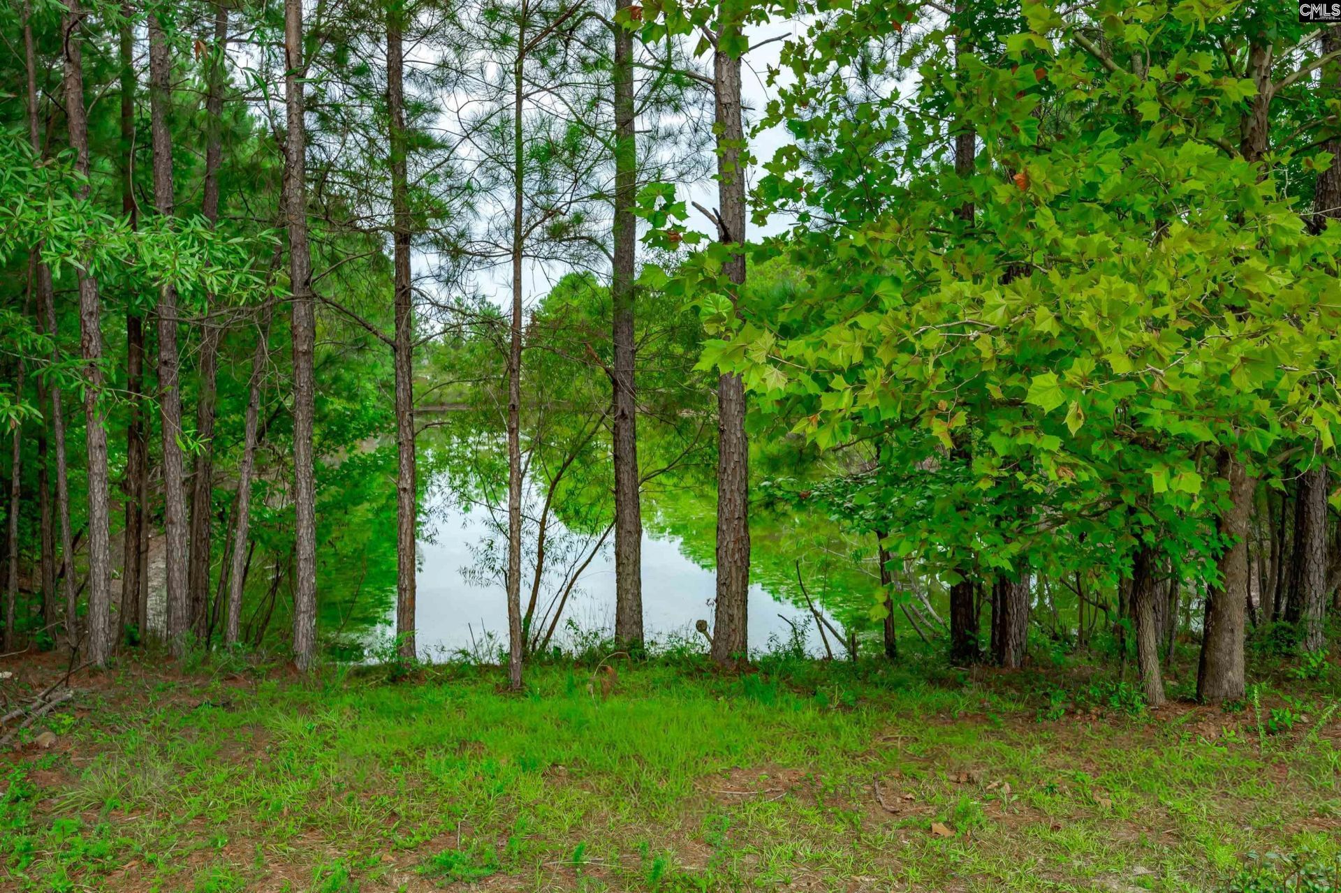 3255 Oleander Drive Photo 45