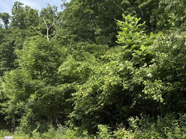 5787 Highway 297 , Pioneer, TN 37847