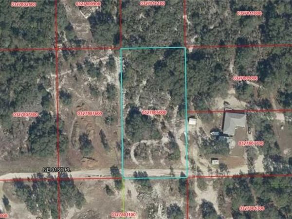 NE 91st PL , BRONSON, FL 32621