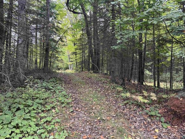 xxx S Dump Rd, Maple, WI 54854