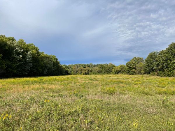 TBD XXX 140th Avenue , Foreston, MN 56330