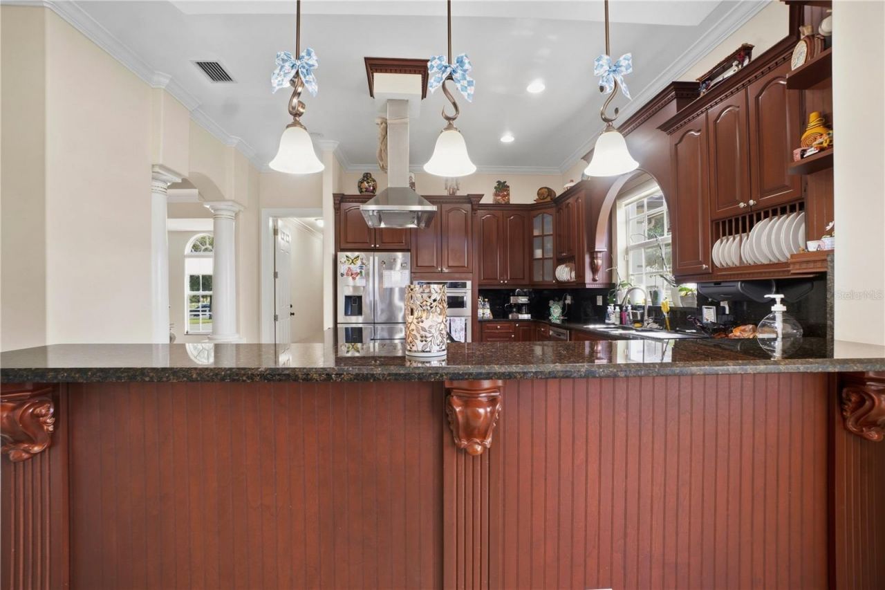 19313 Eagle Run, Groveland, FL 34736 Photo