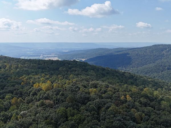 0 Deer Run Rd , Altamont, TN 37301