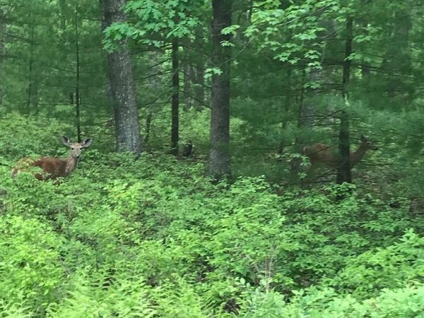 Lot 89 Kinsale Lane , Dingmans Ferry, PA 18328