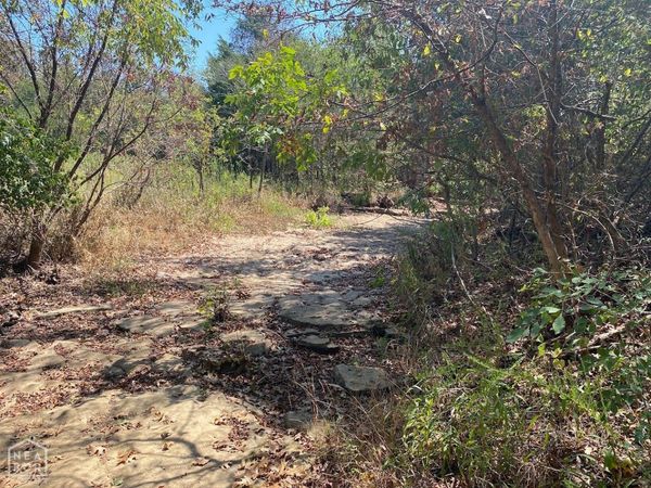 40 Squirrel, Imboden, AR 72434