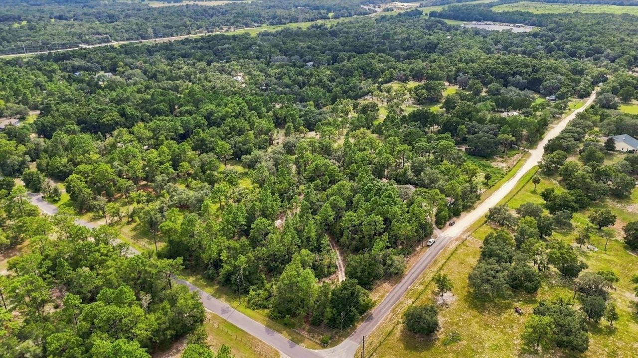 7410 W Newcastle Court, Dunnellon, FL 34433 Photo