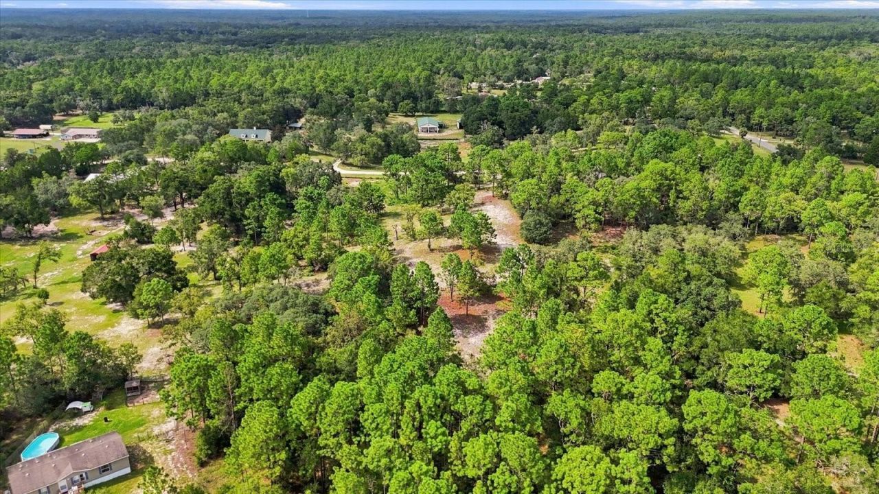 7410 W Newcastle Court, Dunnellon, FL 34433 Photo