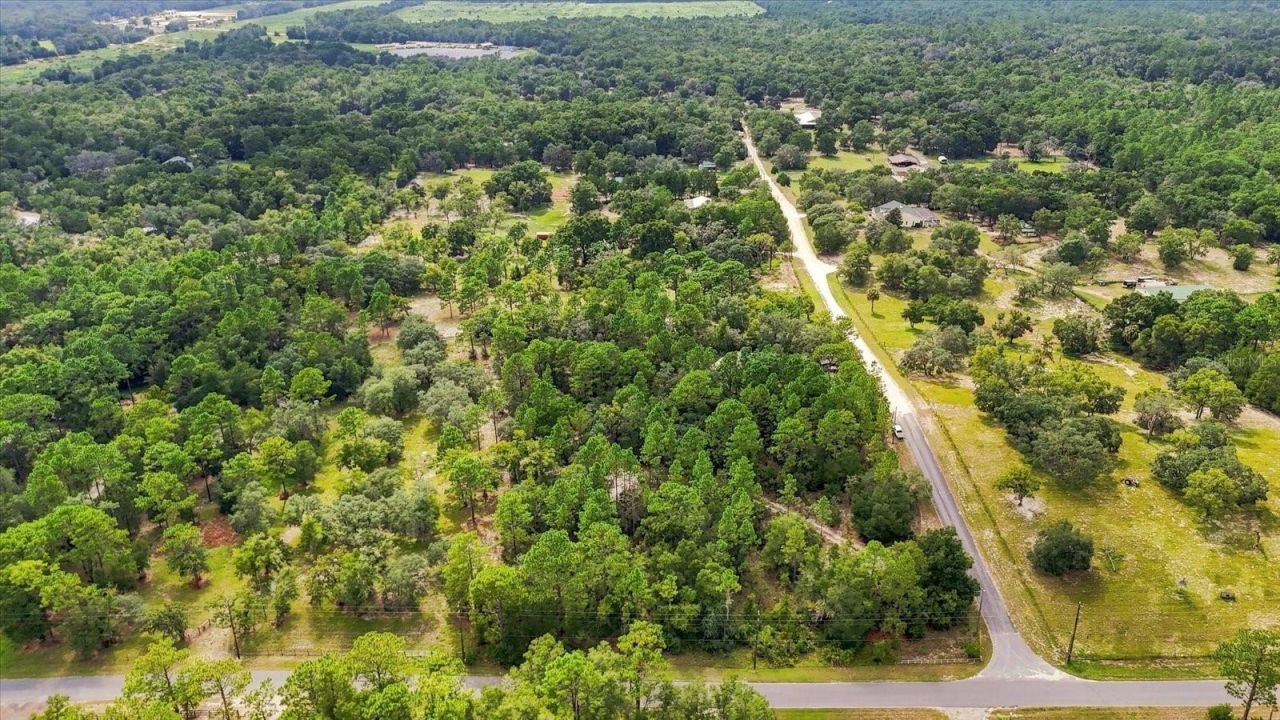 7410 W Newcastle Court, Dunnellon, FL 34433 Photo