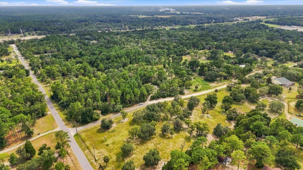 7410 W Newcastle Court, Dunnellon, FL 34433 Photo