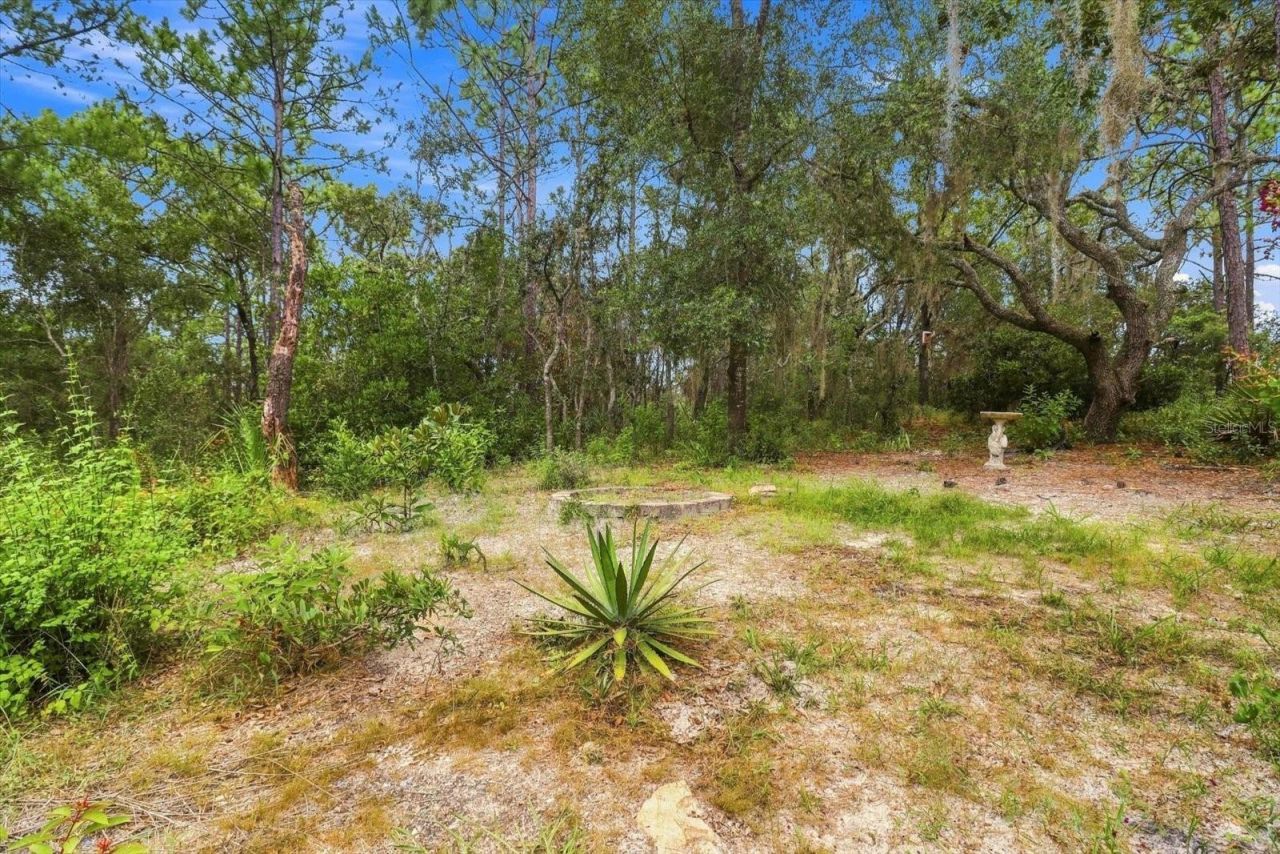 7410 W Newcastle Court, Dunnellon, FL 34433 Photo