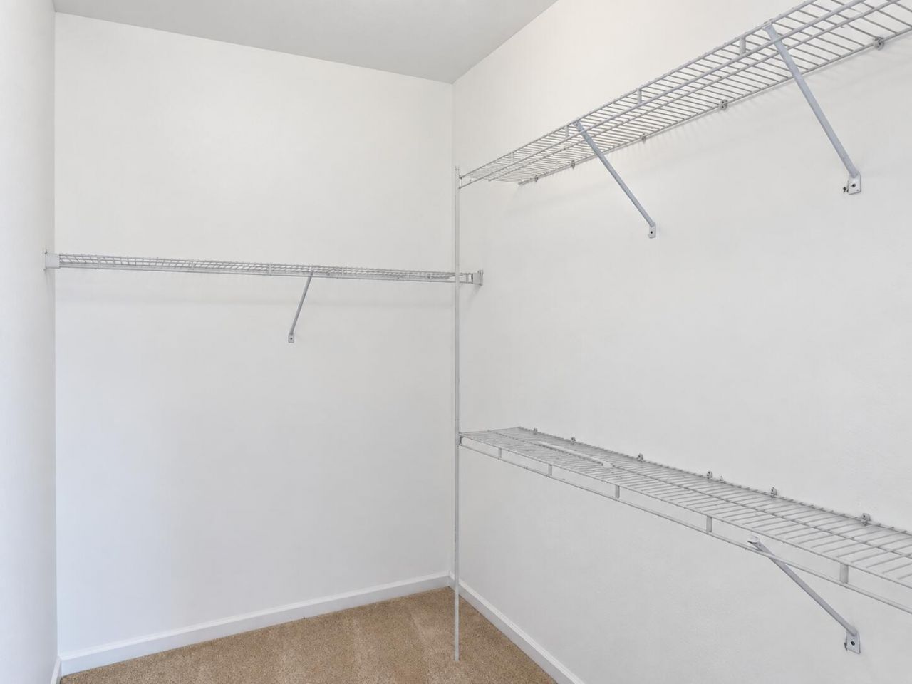 205 Sheridan Drive Photo 15