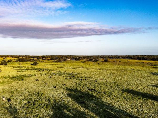 3087 County Road 320, Lexington, TX 78947