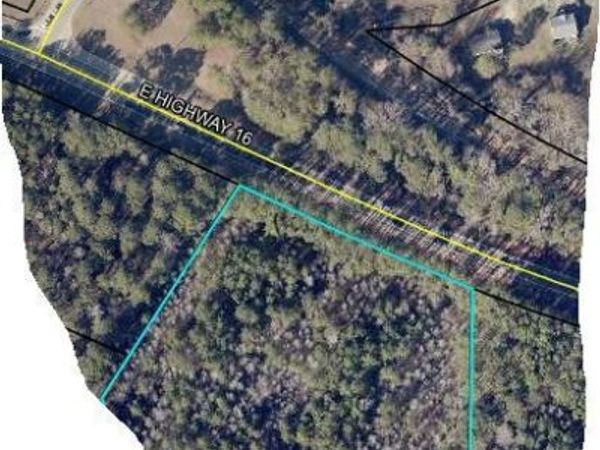 LOT 5 GA Highway 16, Sharpsburg, GA 30277