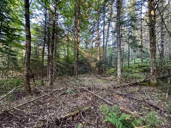 Lot 6 Jennings Road, Colebrook, NH 03576