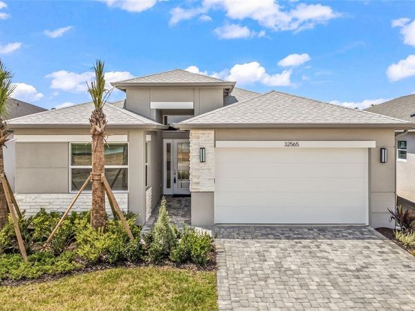32565 VENETO PLACE , WESLEY CHAPEL, FL 33543