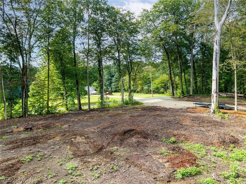 2959 Rohrer Road, Wadsworth, OH 44281 Photo 2